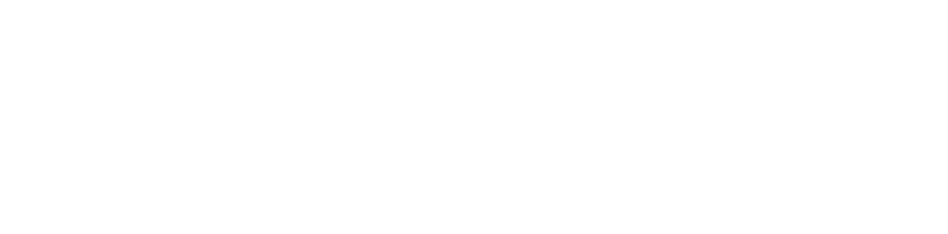 Findonline by Sensation